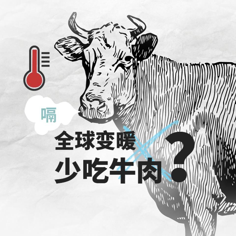 倡导少吃牛肉的低碳饮食被打成阴谋论,它真能延缓全球变暖吗?